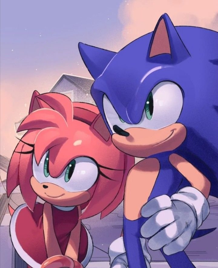 Amy Rose Matching Pfp