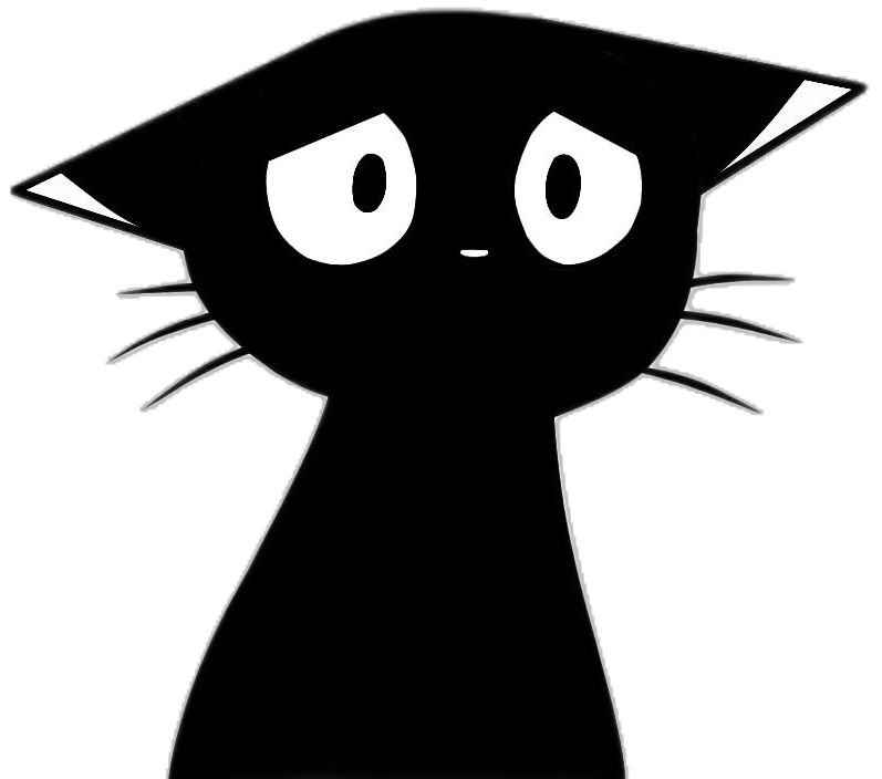 Black And White Pfp Cat
