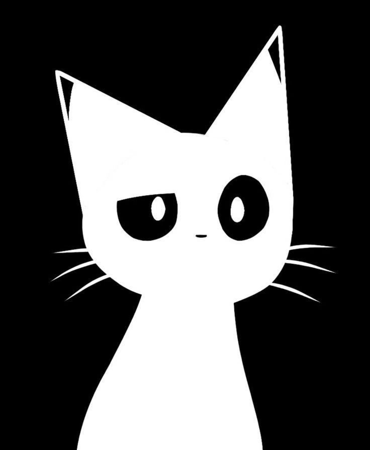Black And White Pfp Cat