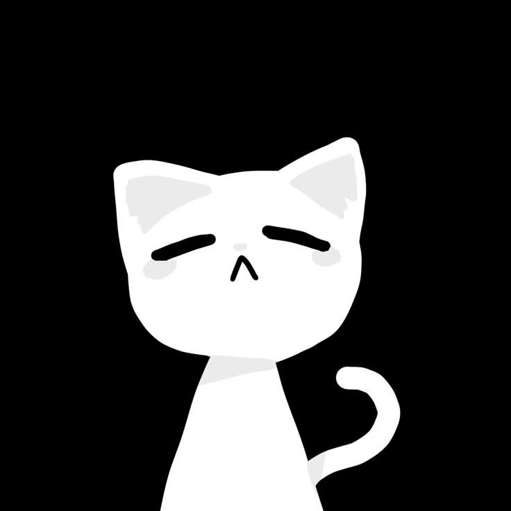 Black And White Pfp Cat
