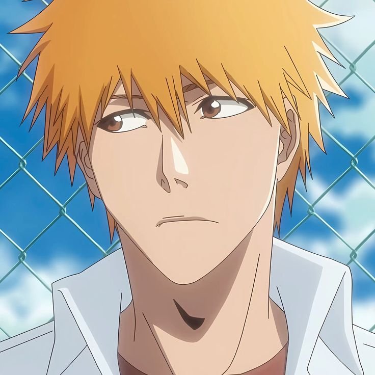 Bleach Anime Manga Pfp