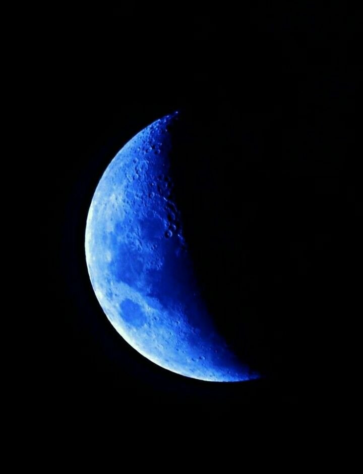 Blue Moon PFP