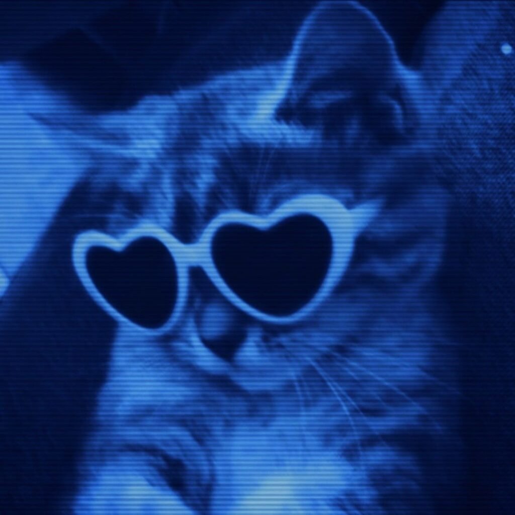 Blue Pfp Cat