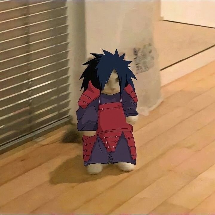 Cat Madara PFP
