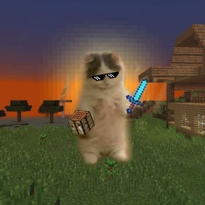 Cat Minecraft Pfp