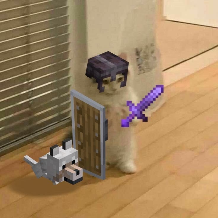Cat Minecraft Pfp
