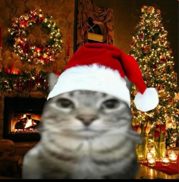 Christmas Meme Pfp