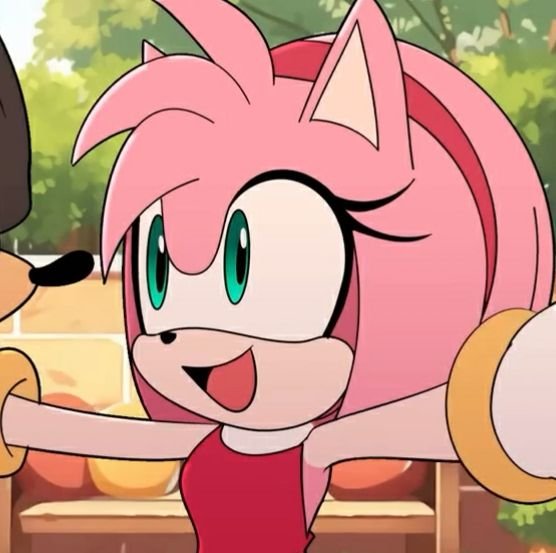 Cool Amy Rose Pfp