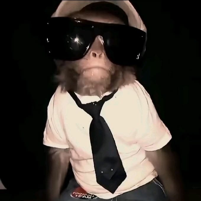Cool Monkey Pfp
