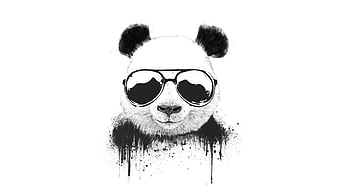 Cool Panda PFP