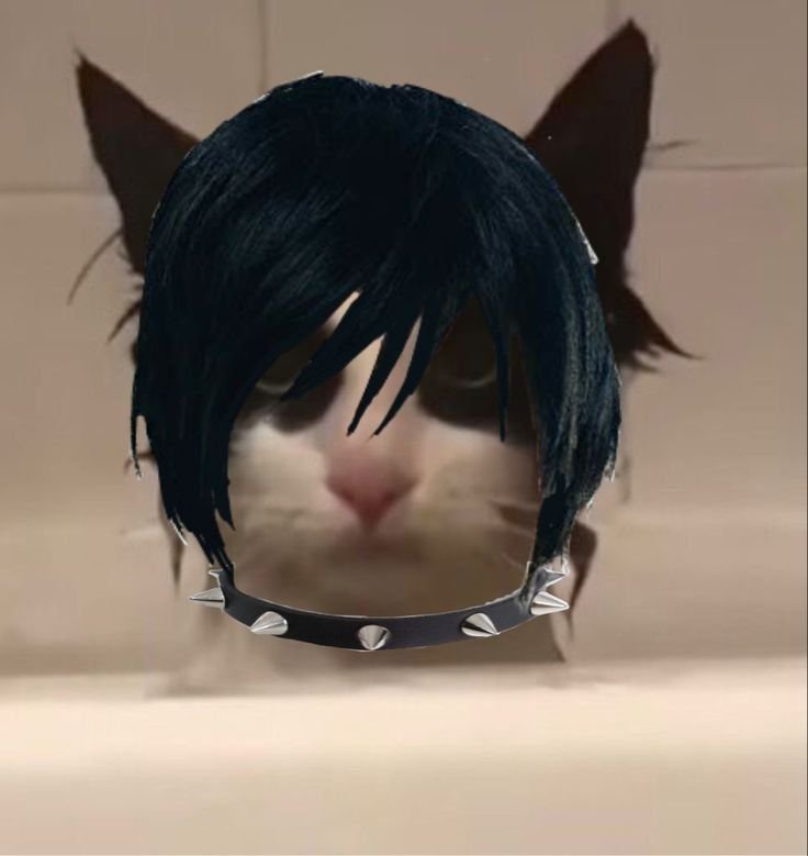 Cringe Emo Pfp and Aesthetic Funny Emo PFP