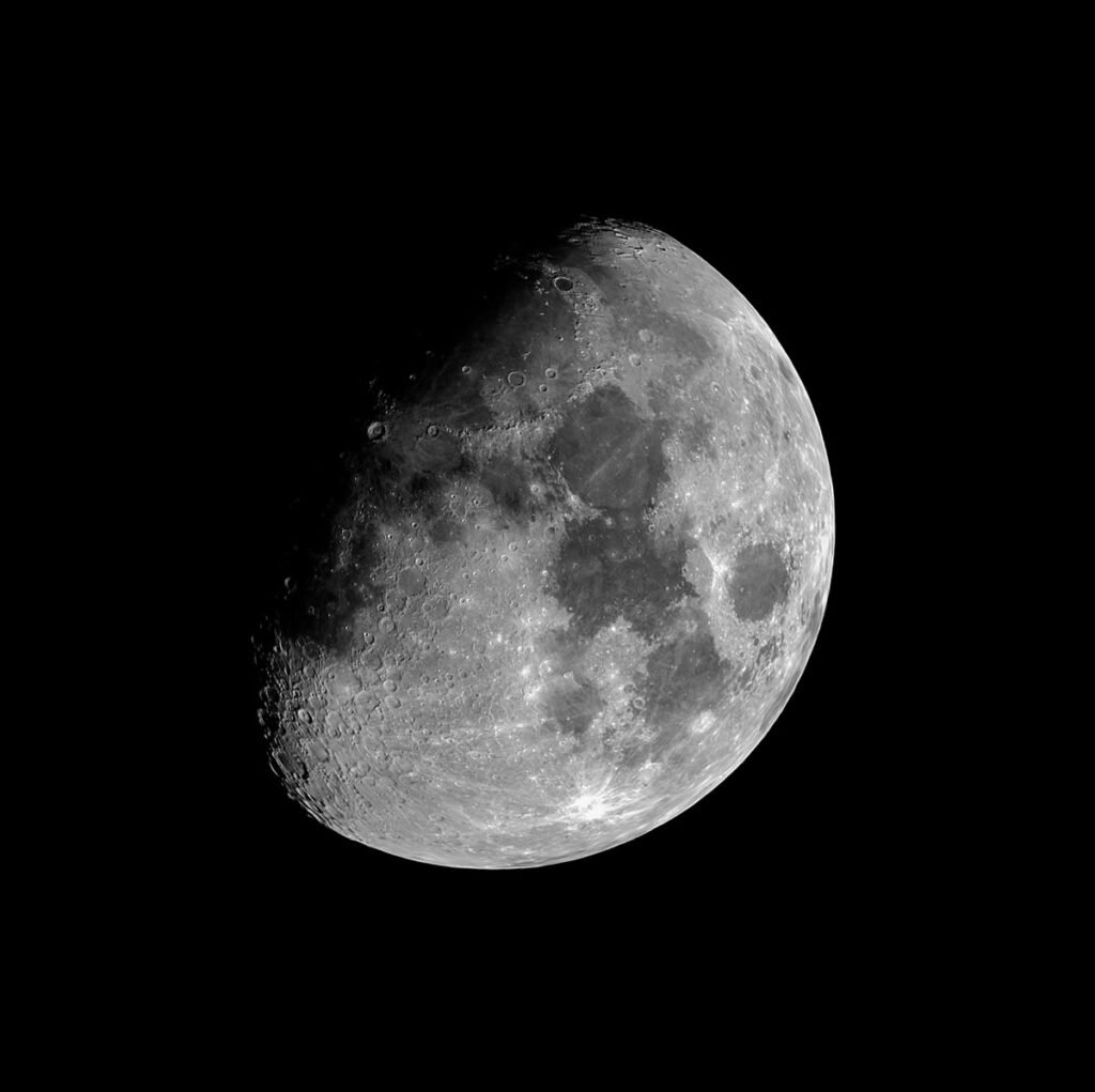 Full Moon PFP