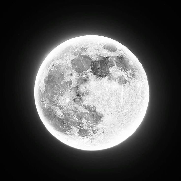 Full Moon PFP