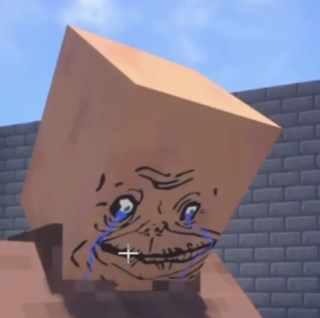 Funny Minecraft Pfp
