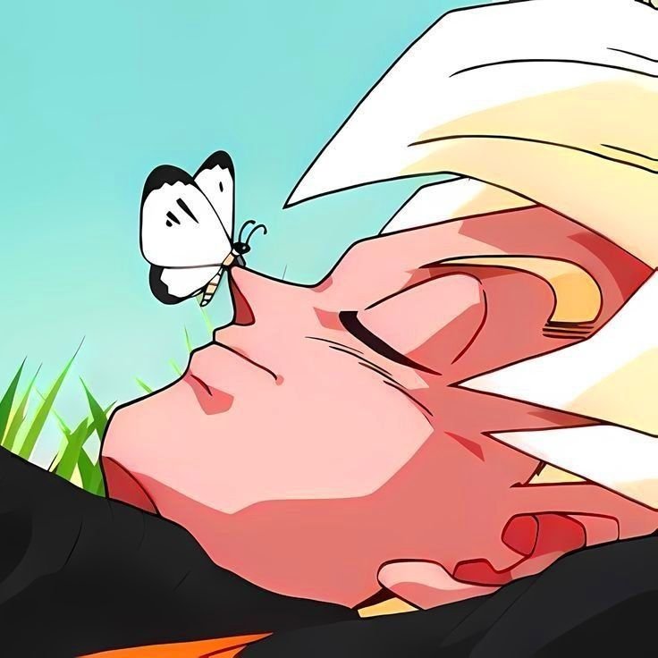 Goku Peaceful PFP