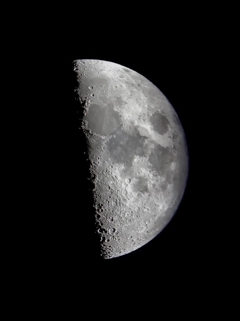 Half Moon PFP