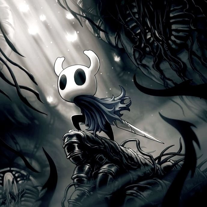 Hollow Knight Pfp 4k