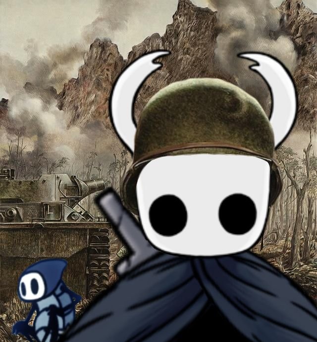 Hollow Knight Pfp Meme
