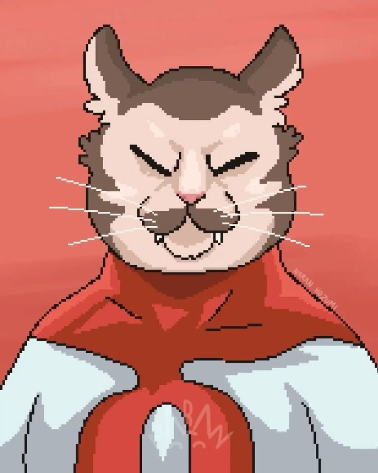 Invincible Cat Pfp