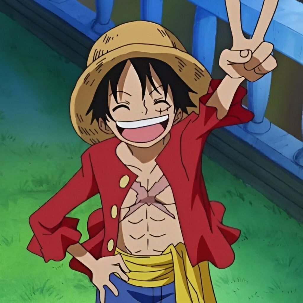 Luffy PFP Anime