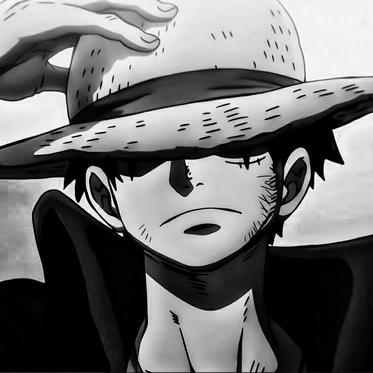 Luffy PFP Black And White