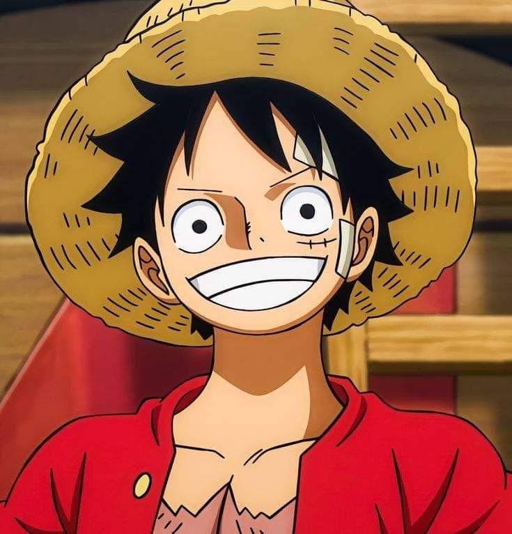 Luffy PFP Boy