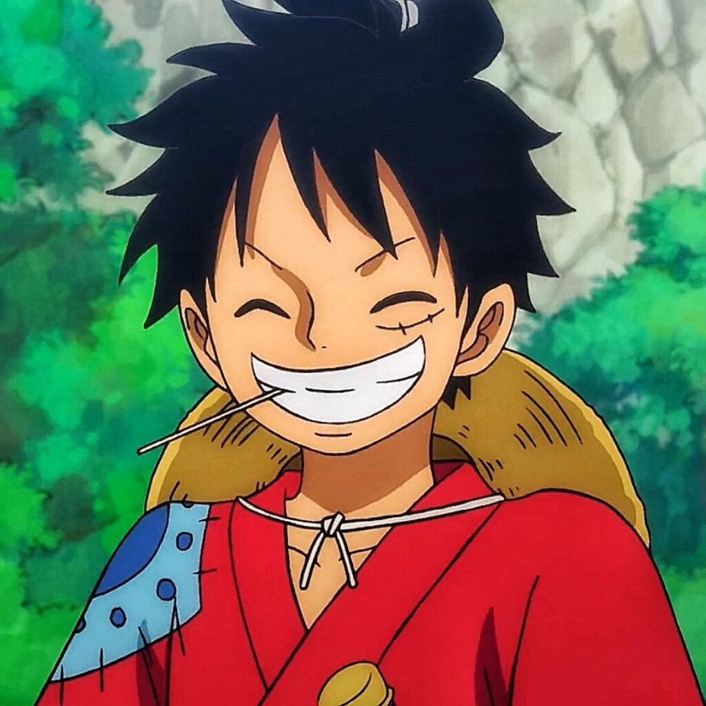 Luffy PFP Boy