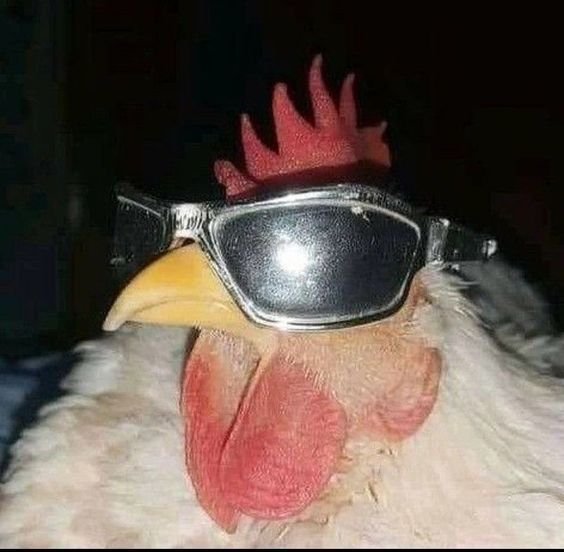 Meme Pfp Aesthetic
