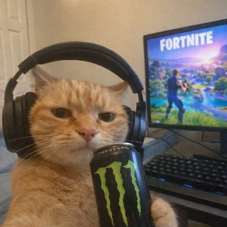 Meme Pfp For Xbox