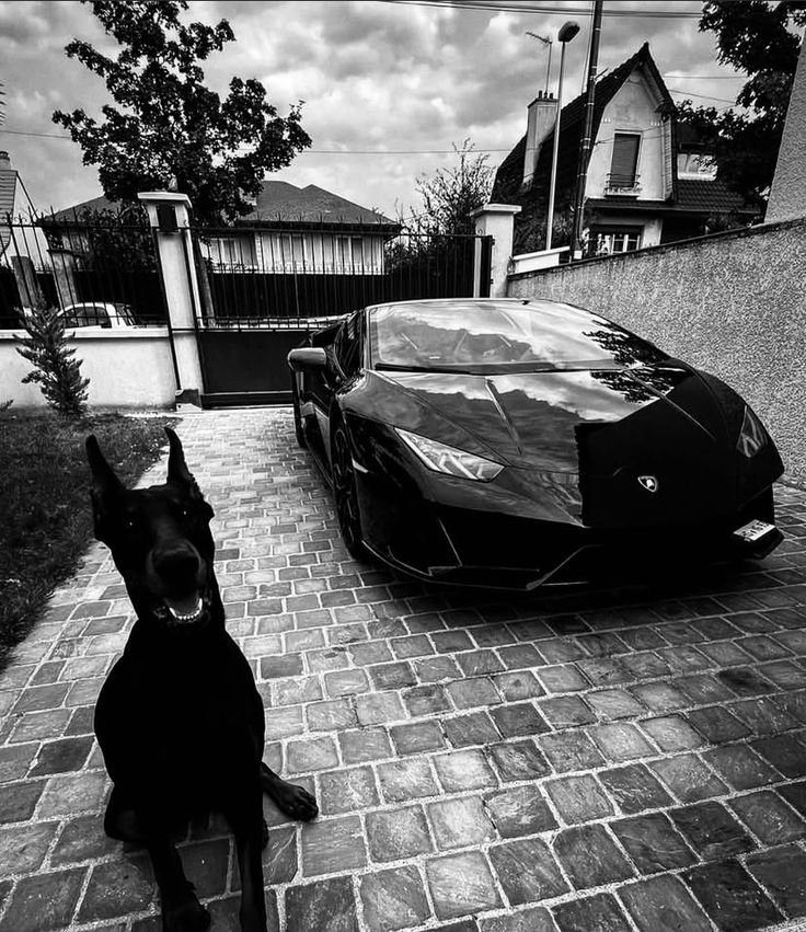 Money PFP Luxury