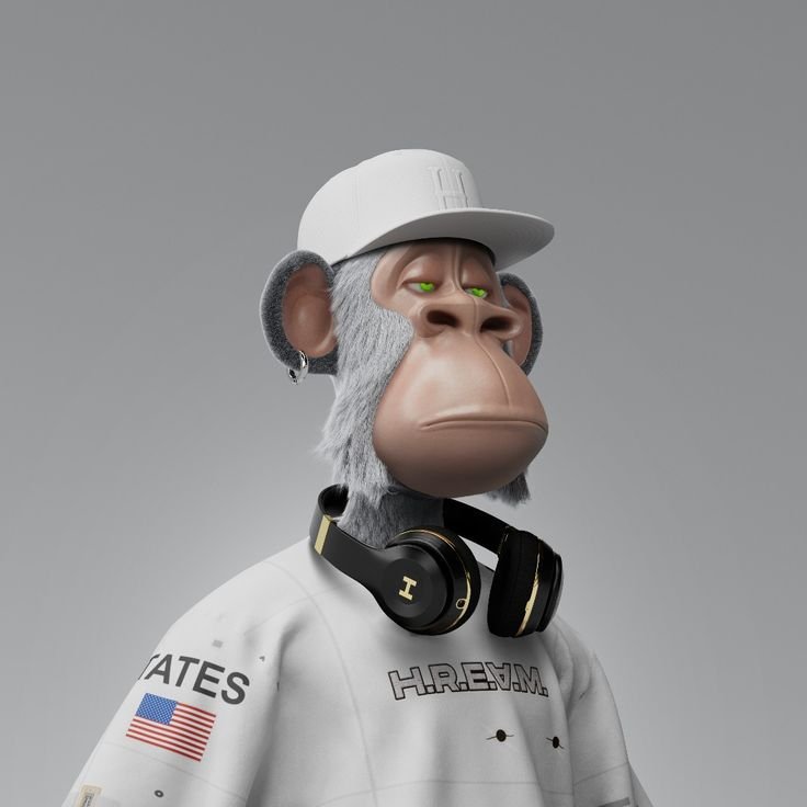 Monkey PFP Boy