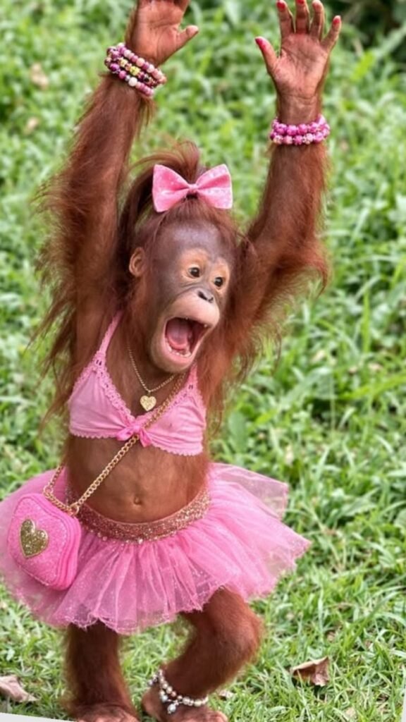 Monkey PFP Girl