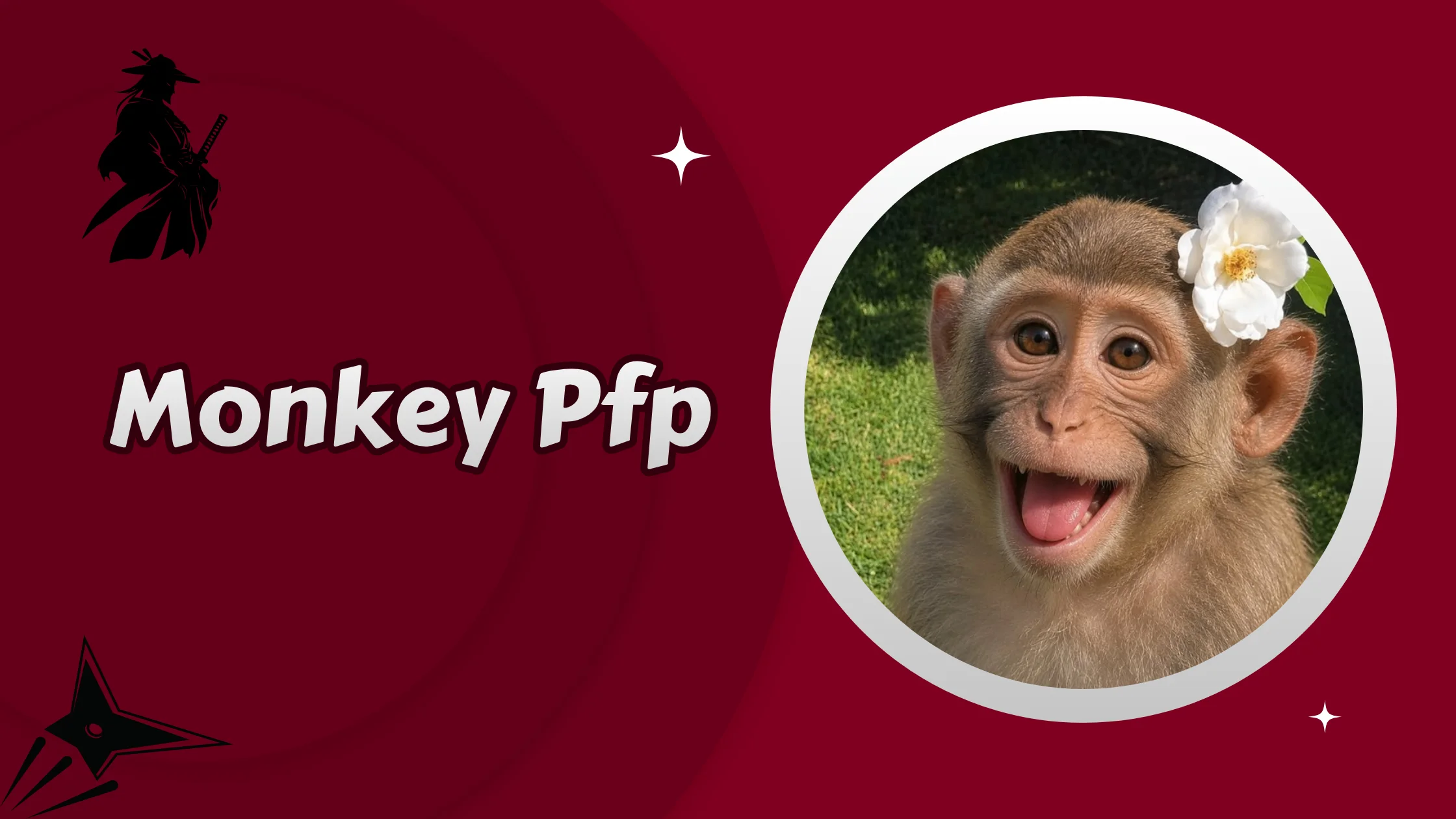 Monkey Pfp