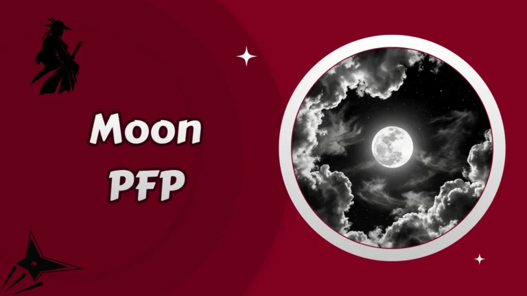 Moon PFP