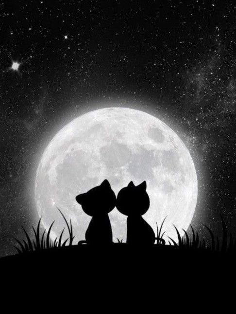 Moon PFP for Couples