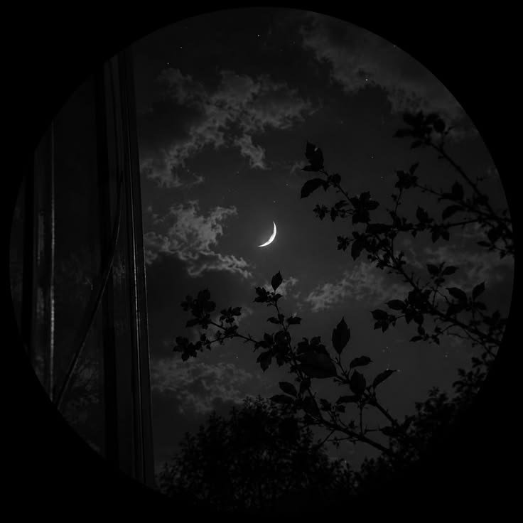 Moon PFP for Discord