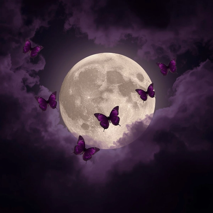Moon PFP for Instagram