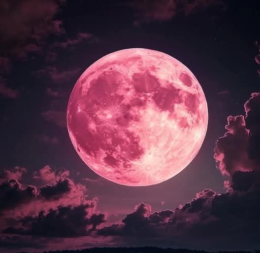 Mooncore PFP
