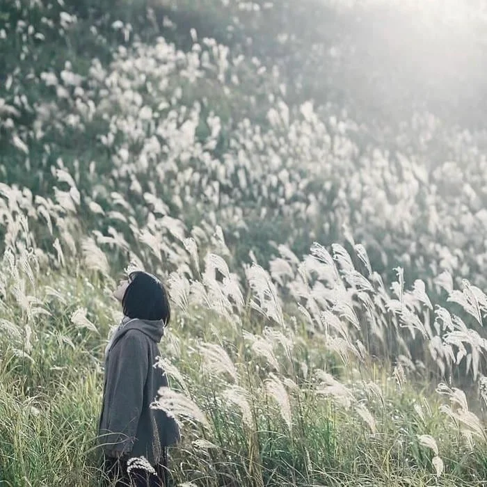 Peaceful Anime Wallpaper 4K