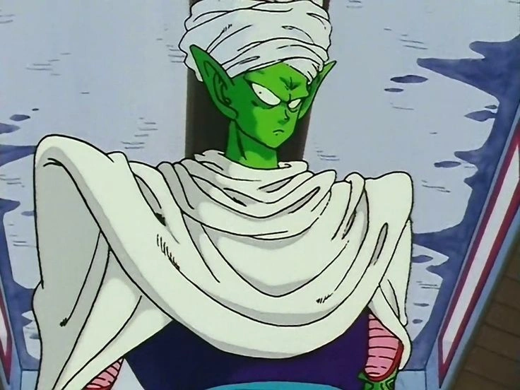 Piccolo Jr