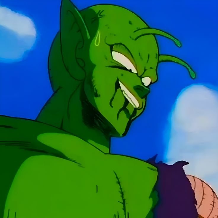 Piccolo Profile Picture