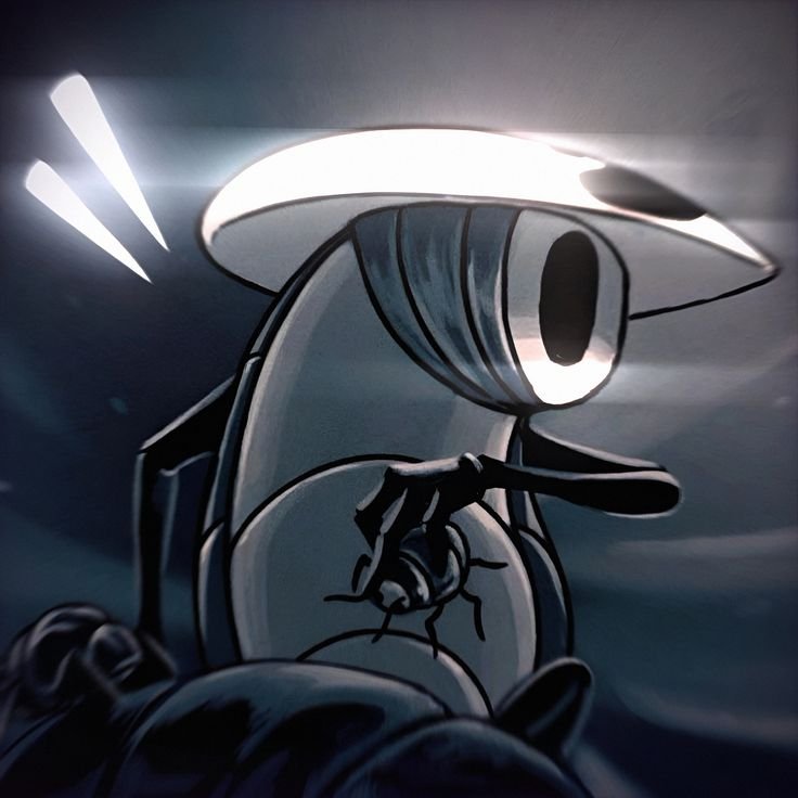 Quirrel Hollow Knight Pfp