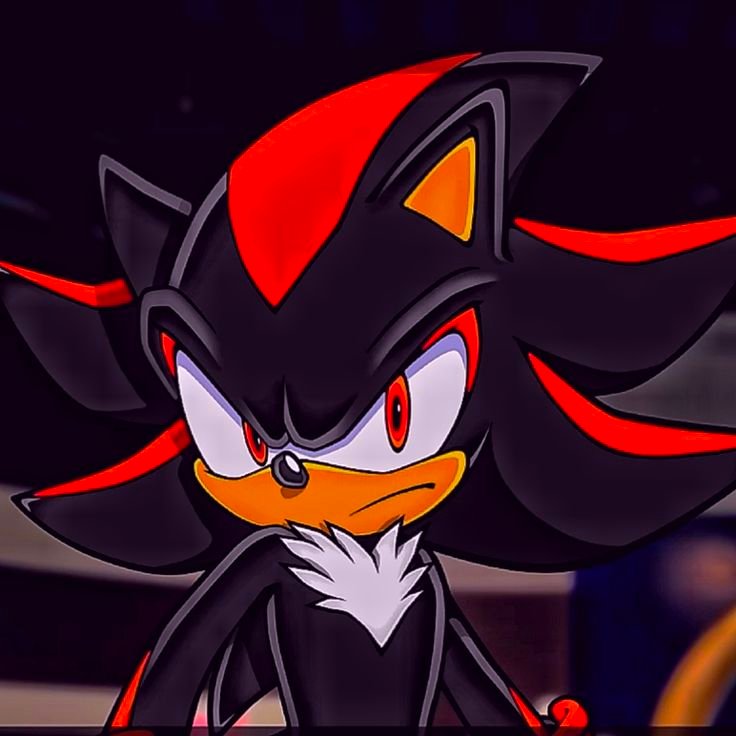 Shadow Sonic PFP