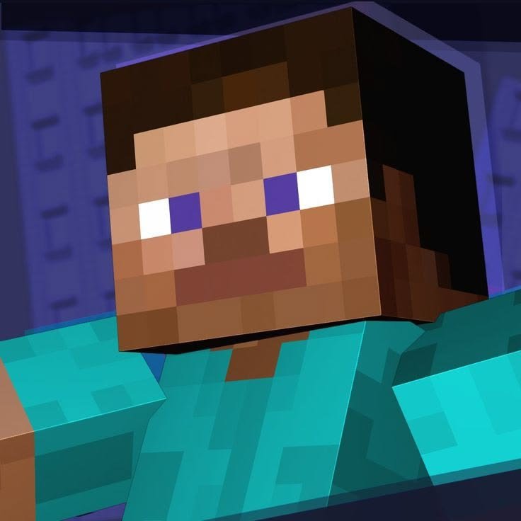 Steve Minecraft Pfp